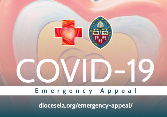 Covid-19 Emergency Appeal
