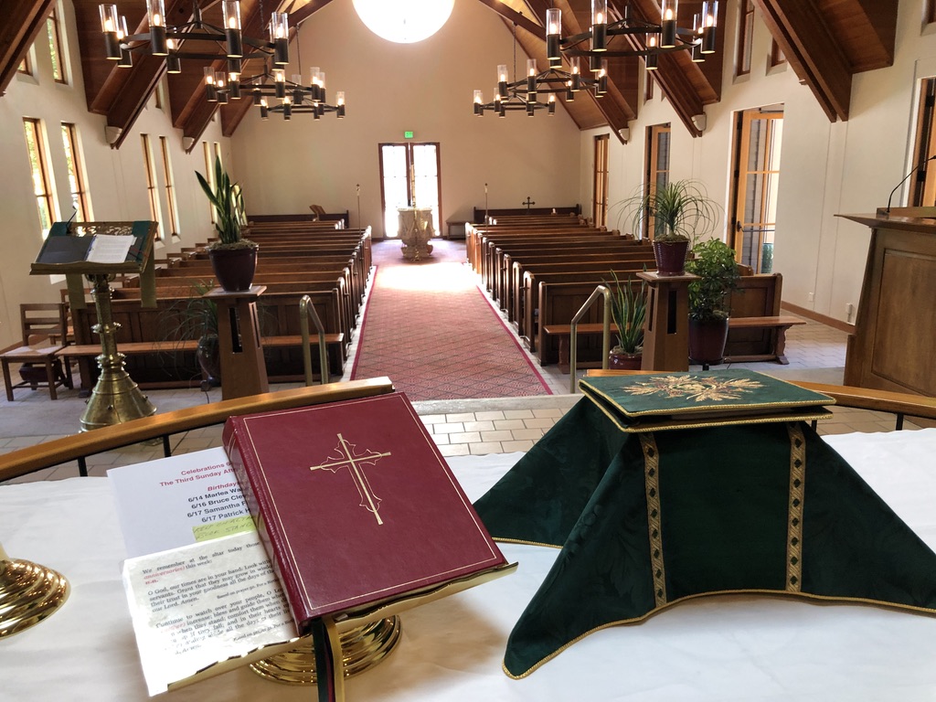 Home Prayer With Palms on Palm Sunday/Oración En Casa Con Las