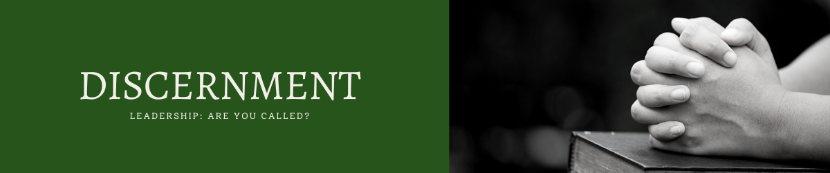 EDLA Discernment Page HeaderNEW