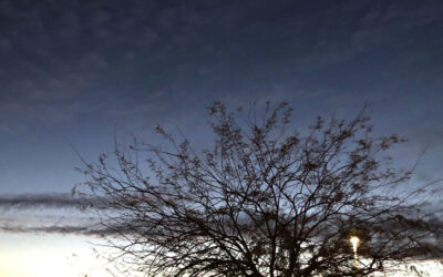 The Bishop’s Blog: A prayer for Ukraine, 3-6-22