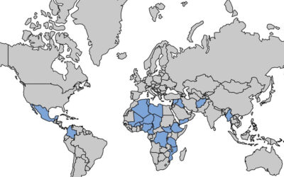 The Bishop’s Blog: Daily prayer 3-29-22