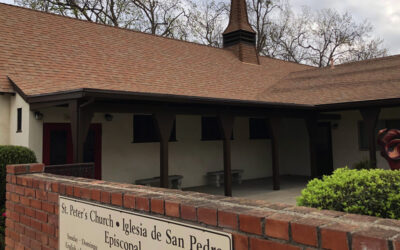 The Bishop’s Blog: St. Peter’s, Santa Maria