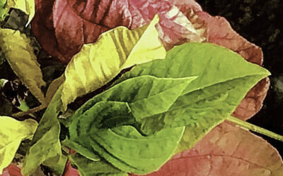 The Bishop’s Blog: Daily prayer 4-20-22