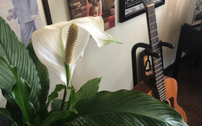 The Bishop’s Blog: Daily prayer 4-22-22