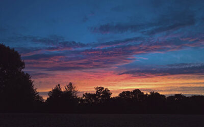 The Bishop’s Blog: Daily prayer 4-16-22