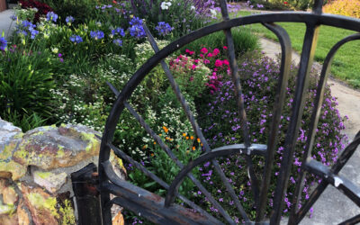 The Bishop’s Blog: Daily prayer 5-16-22