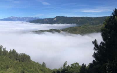 The Bishop’s Blog: Daily prayer 6-6-22