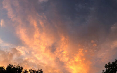 The Bishop’s Blog: Daily prayer 6-13-22