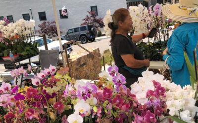 The Bishop’s Blog: Daily prayer 7-3-22