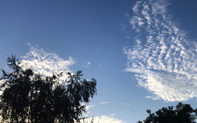 The Bishop’s Blog: Daily prayer 7-21-22