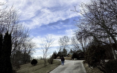 Daily prayer: A Collect for the Renewal of Life
