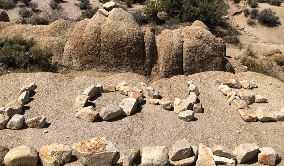 Daily prayer: Joshua Tree National Park