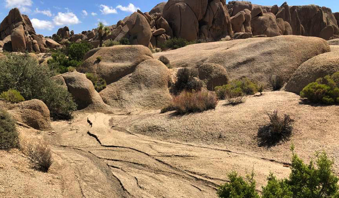 Cap Rock at Joshua Tree National Park