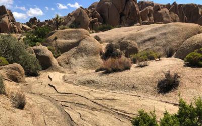 Cap Rock at Joshua Tree National Park