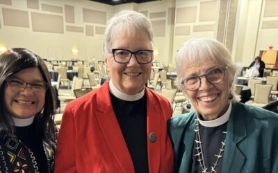 Diocesan Convention scrapbook, 2024