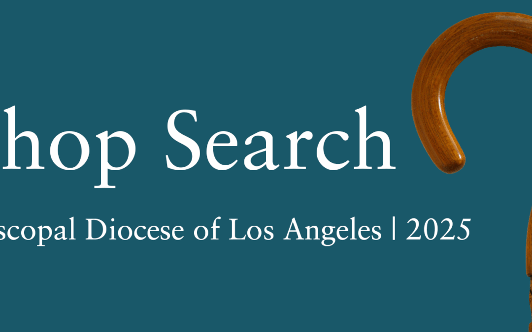 Bishop Search Committee making strides; Transitions Committee members to be announced after May 3 organizing meeting