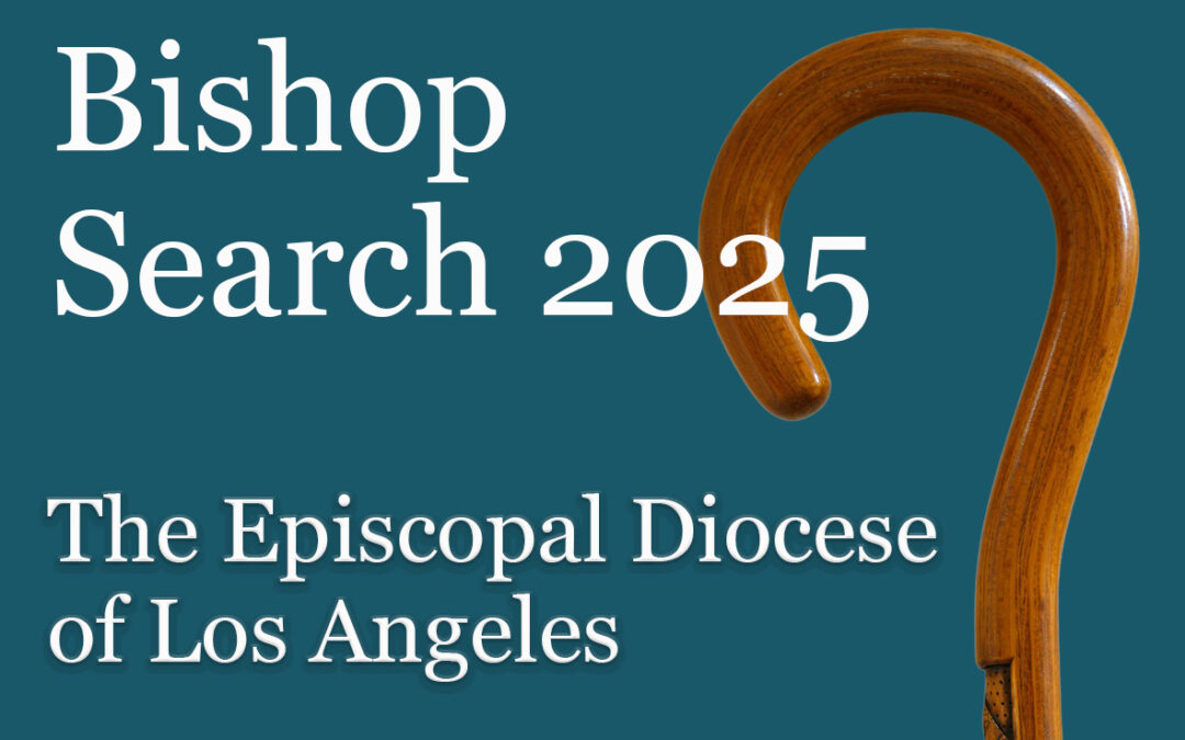 Meet the team behind the Diversity, Equity, and Inclusion Subcommittee of the Bishop Search Committee