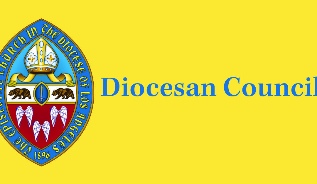 Diocesan Council prepares to act on immigration issues, hears update on ‘Requiem or Renaissance’ program for congregations