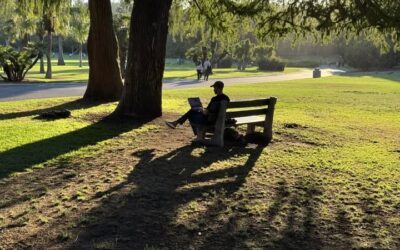 Daily prayer: For strength in service