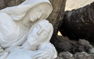Daily prayer: To share in the eternal kingdom