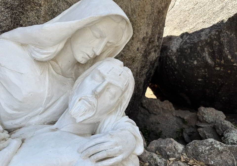 Daily prayer: To share in the eternal kingdom