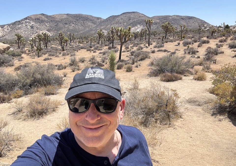 Six days on the Road: Twentynine Palms