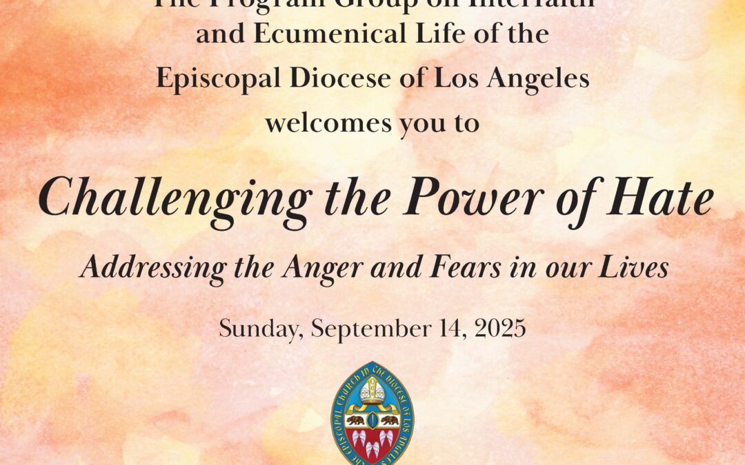 Reducing power of hatred begins with hearing truth, diocesan webinar participants agree