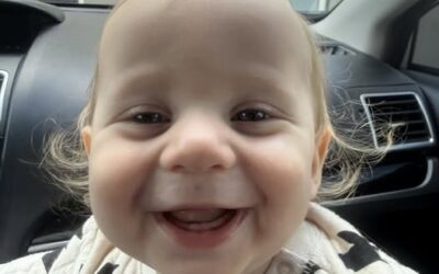 Daily prayer: Divine life