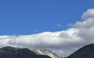 One year since the wildfires broke out