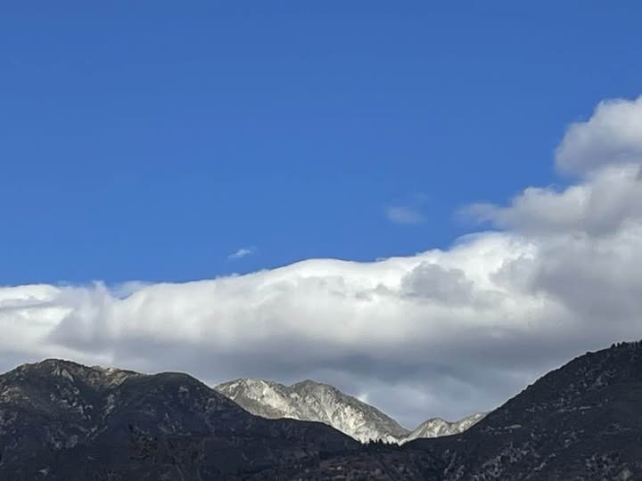 One year since the wildfires broke out